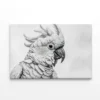 Sketch Of Cockatoo Bird in White Print 100% Australian Made - Image 4