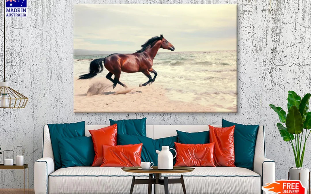 Wonderful Marine Landscape with Beautiful Bay Horse Wall Art Decor 100% Australian Made