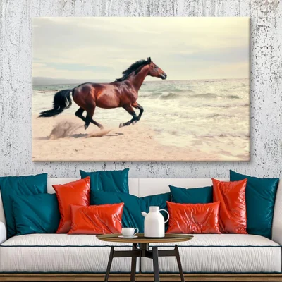 Wonderful Marine Landscape with Beautiful Bay Horse Wall Art Decor 100% Australian Made