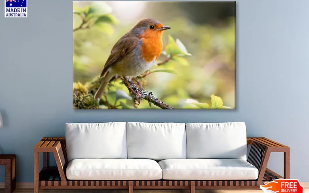 Bird In Family Turdidae, With Beak Open in Profile Wall Art Decor 100% Australian Made