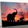 Elephant Family & Sunset Sky View Acrylic Glass Print Tempered Glass Wall Art 100% Made in Australia Ready to Hang
