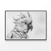 Sketch Of Cockatoo Bird in White Home Decor Premium Quality Poster Print Choose Your Sizes - Image 3