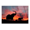 Elephant Family & Sunset Sky View Acrylic Glass Print Tempered Glass Wall Art 100% Made in Australia Ready to Hang - Image 4