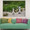 African Penguins on Valley Closeup Photograph Print 100% Australian Made