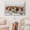 Bella Home Big Scottish Cow's Looking Print Canvas Ready to hang