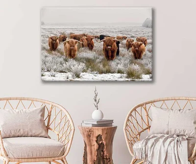 Bella Home Big Scottish Cow's Looking Print Canvas Ready to hang
