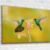 Hummingbirds & Flower Print Tempered Glass Wall Art 100% Made in Australia Ready to Hang - Image 4