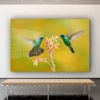 Hummingbirds & Flower Print Tempered Glass Wall Art 100% Made in Australia Ready to Hang - Image 3