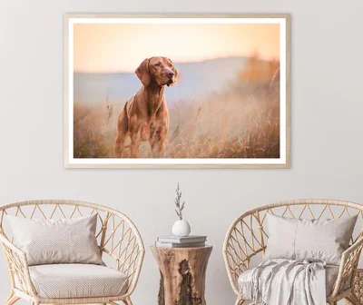 Hungarian Hound Pointer Vizsla Dog Home Decor Premium Quality Poster Print Choose Your Sizes
