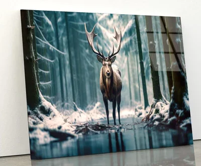 Moose In the Snow Forest Acrylic Glass Print Tempered Glass Wall Art 100% Made in Australia Ready to Hang