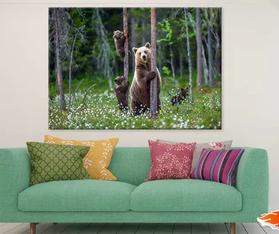 Brown Bear & Cubs Climbs a Tree Photograph Print 100% Australian Made