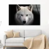 White Wolf with Blue Eyes Looking at The Camera Acrylic Glass Print Tempered Glass Wall Art 100% Made in Australia Ready to Hang - Image 2