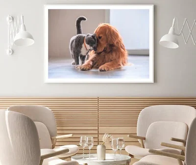 Loving Cute Cat and Golden Retriever Gog Home Decor Premium Quality Poster Print Choose Your Sizes