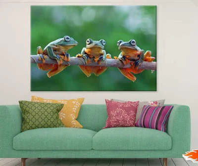 Frogs on Tree Branch Closeup View Photograph Print 100% Australian Made