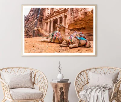 Camels & Carved into The Rock at Petra, Jordan Home Decor Premium Quality Poster Print Choose Your Sizes