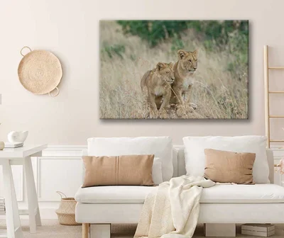 Bella Home A Pair Of Lion Cubs Sitting on A Mound Print Canvas Ready to hang