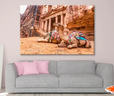 Camels & Carved into The Rock at Petra, Jordan Wall Art Decor 100% Australian Made