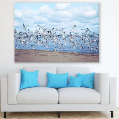 Seagull Birds Flying Above the Sea Photograph Print 100% Australian Made