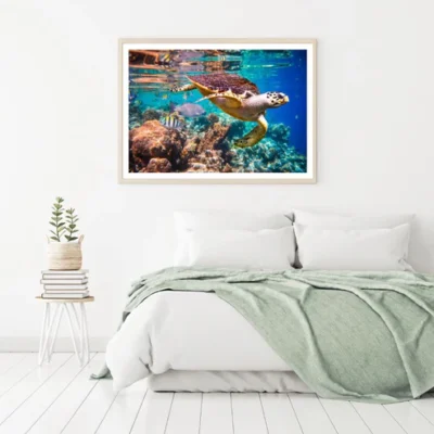 Turtle & Fish Under Sea Scenery Home Decor Premium Quality Poster Print Choose Your Sizes