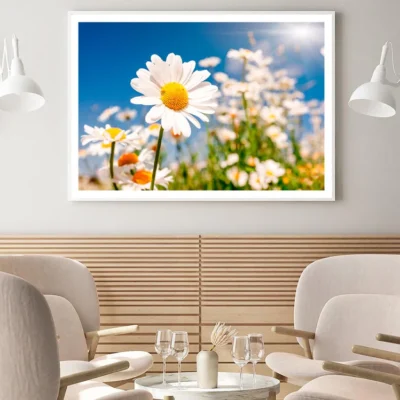 Summer Field With White Daisies on Blue Sky Home Decor Premium Quality Poster Print Choose Your Sizes