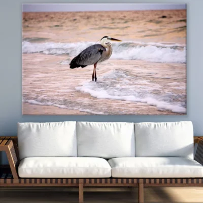 Gray Bird Standing on Shore Photograph Print 100% Australian Made