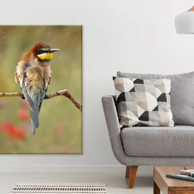 European Bee Eater on Tree Branch Photograph Print 100% Australian Made