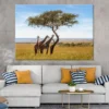 Giraffes Under Acacia Tree View Photograph Print 100% Australian Made