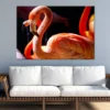 Flamingo Birds Closeup Photograph Print 100% Australian Made - Image 2