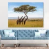 Giraffes Under Acacia Tree View Photograph Print 100% Australian Made - Image 2