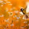 Little Bird Yellow Tit Flies Over a Field Wall Art Decor 100% Australian Made - Image 3