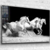 Running Horses B&W View Print Tempered Glass Wall Art 100% Made in Australia Ready to Hang
