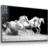 Running Horses B&W View Print Tempered Glass Wall Art 100% Made in Australia Ready to Hang - Image 4