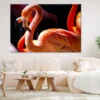 Flamingo Birds Closeup Photograph Print 100% Australian Made