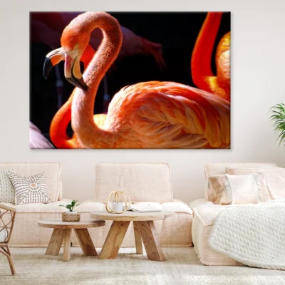 Flamingo Birds Closeup Photograph Print 100% Australian Made