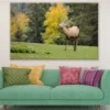 Deer in Forest Photograph Print 100% Australian Made