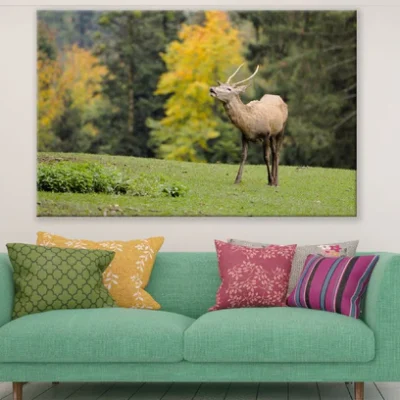 Deer in Forest Photograph Print 100% Australian Made