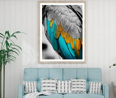 Close-Up Feather Design Home Decor Premium Quality Poster Print Choose Your Sizes