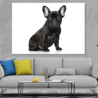 Black Dog Closeup View Photograph Print 100% Australian Made