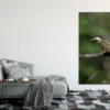 Picinae Bird on Tree Branch View Photograph Print 100% Australian Made - Image 3