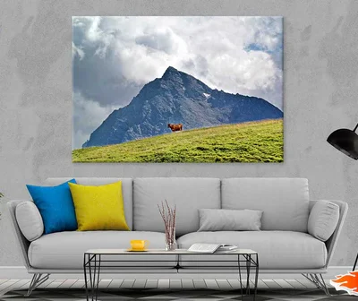 Cow on Grass Hill Mountain Scenery Photograph Print 100% Australian Made