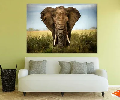 Wild Elephant Closeup Photograph Print 100% Australian Made