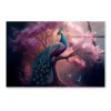 Peacock Sitting on Top of a Tree Acrylic Glass Print Tempered Glass Wall Art 100% Made in Australia Ready to Hang - Image 4