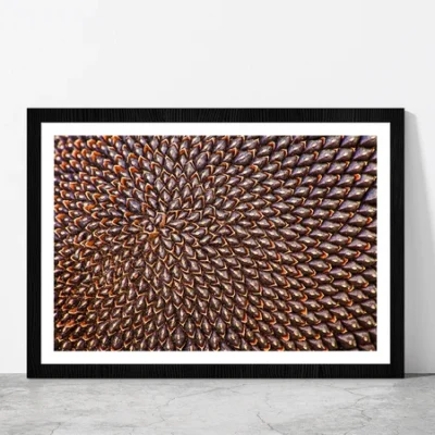 Ripe Sunflower Seeds Glass Framed Wall Art, Ready to Hang Quality Print