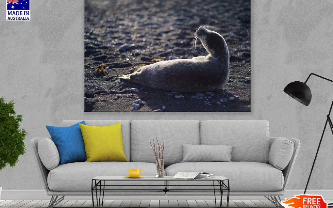 Sheep on Grass Field Closeup Photograph Print 100% Australian Made