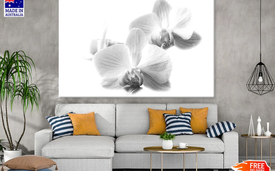 Orchid Flowers B&W Photograph Print 100% Australian Made