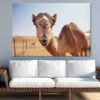 Camel Face Closeup Photograph Print 100% Australian Made - Image 2
