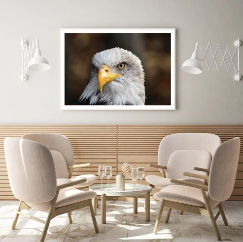 Eagle Portrait Closeup Photograph Home Decor Premium Quality Poster Print Choose Your Sizes