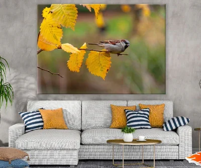House Sparrow Birds on Tree Branch Photograph Print 100% Australian Made
