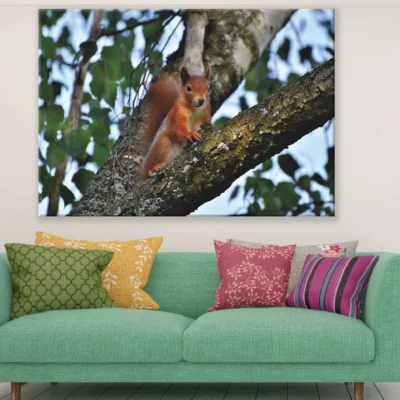 Red Squirrel on Tree Closeup Photograph Print 100% Australian Made