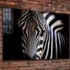 Equus Zebra Closeup B&W Print Tempered Glass Wall Art 100% Made in Australia Ready to Hang